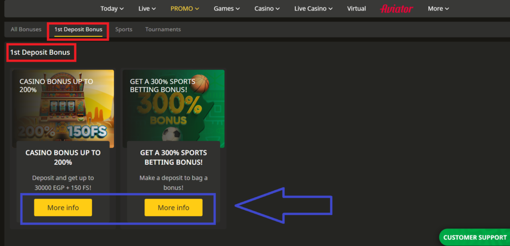 AfroPari Bonus Proposals for New and Existing Members