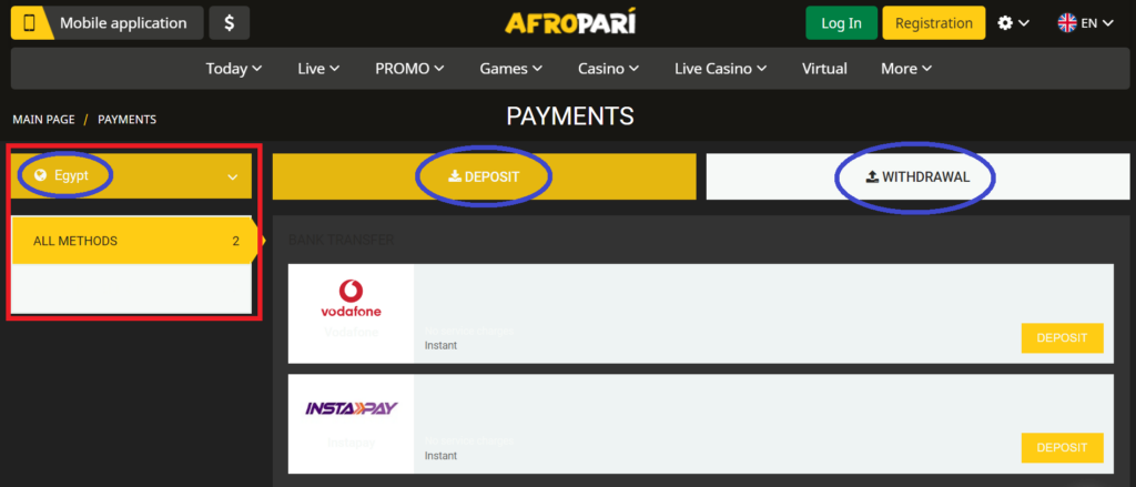 Payment Methods for Egyptian Customers