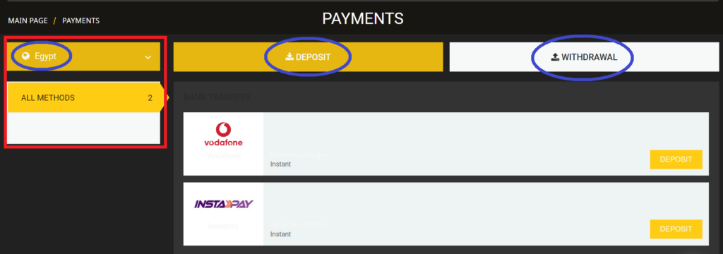 Payment Methods for Egyptian Customers